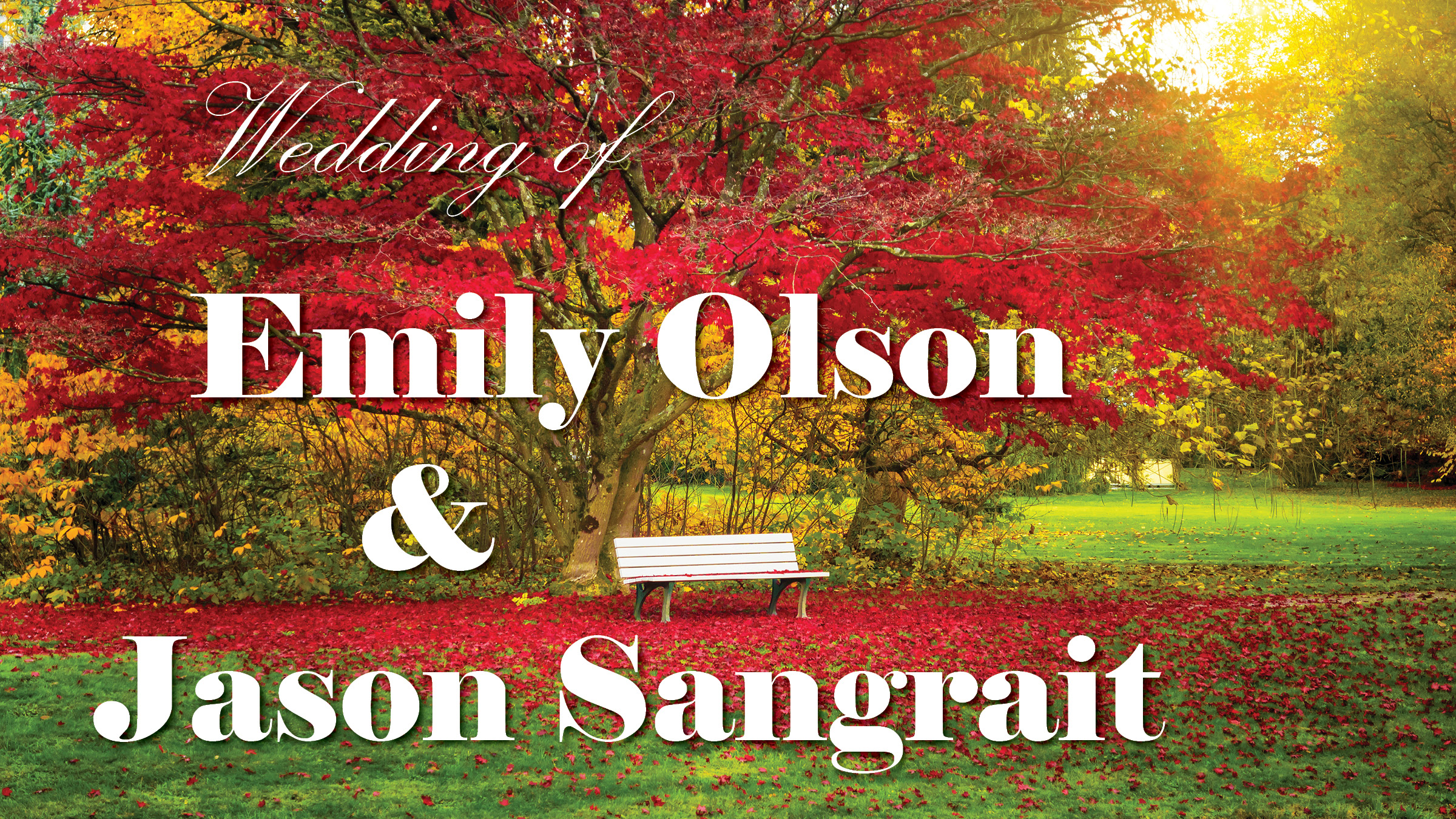 Wedding of Emily Olson and Jason Sangrait